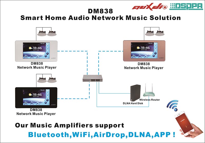 DM838 Network Music Player with Amplifier