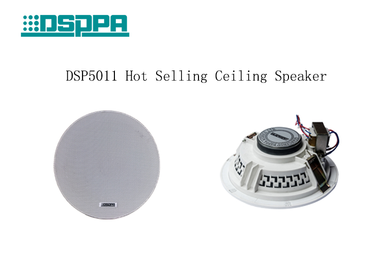DSP5011 Hot Selling Ceiling Speaker