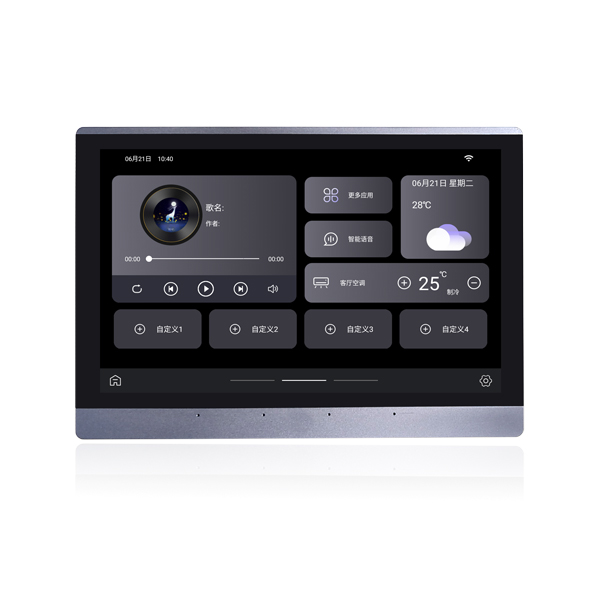 DM968 10'' Tuya Smart Central Control Background Music Amplifier