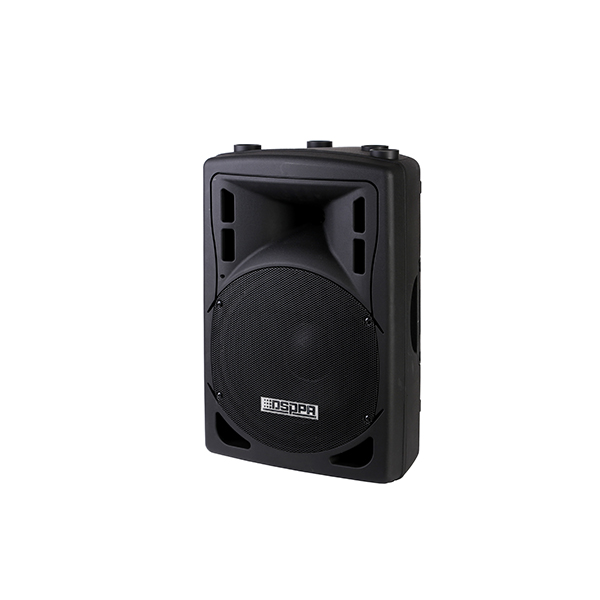 dsp1202a-wall-mount-speaker--1_1496657404.jpg