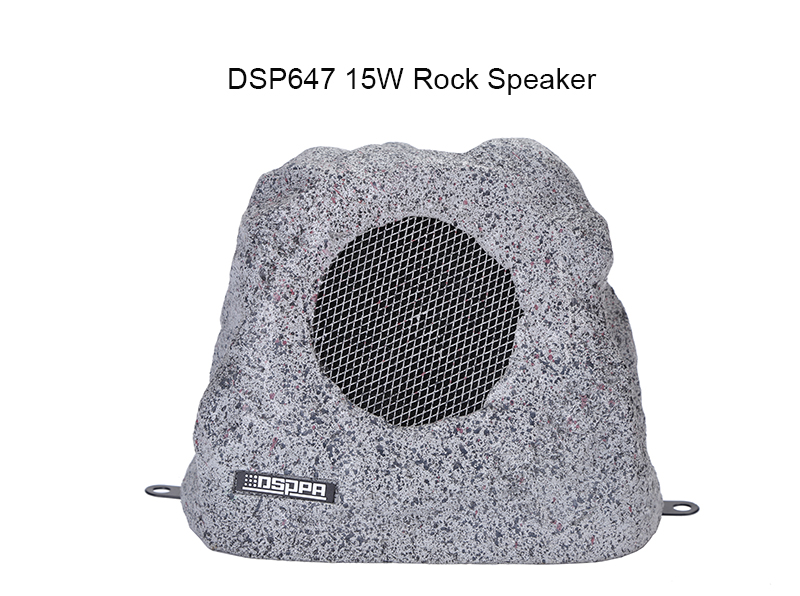 DSP647 15W Rock Speaker