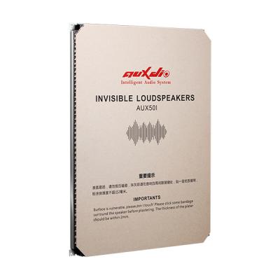 AUX50I Aluminum Flush Invisible Wall Loudspeaker