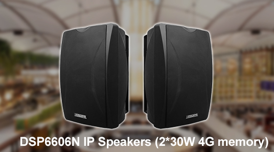 DSP6606N IP Speakers (2*30W 4G Memory)