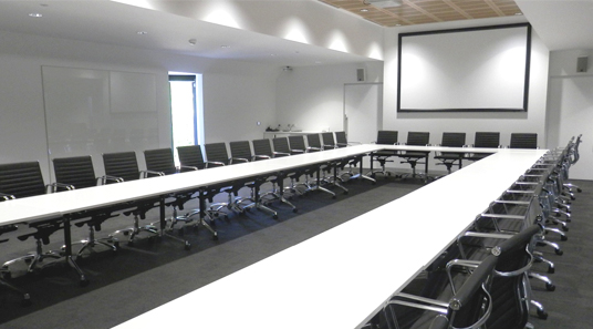 Large Conference Room (Meet X)