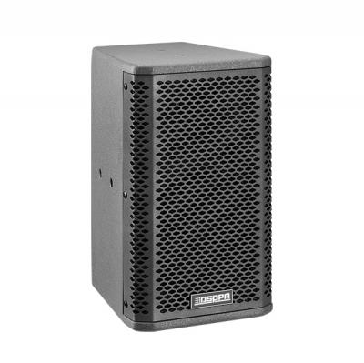 DSP106P/DSP108P/DSP110P Professional POE Powered Dante Loudspeaker