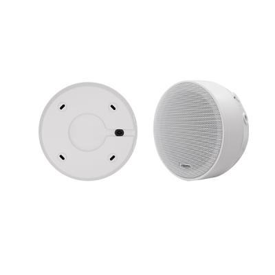 DSP5311 6.5 Inch Surface Mount Ceiling Speaker
