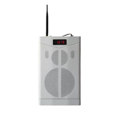 MAG6363G Bluetooth Network Teaching Speaker with 2.4G Wireless Microphone