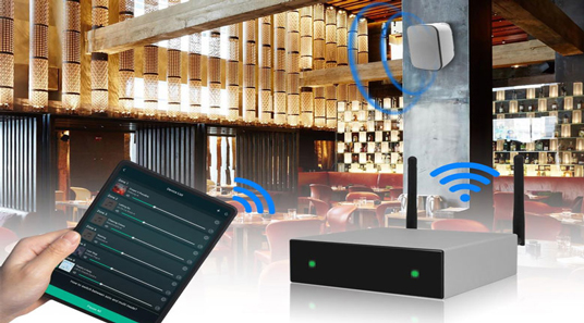 DW0250 Intelligent WiFi Streaming Amplifier