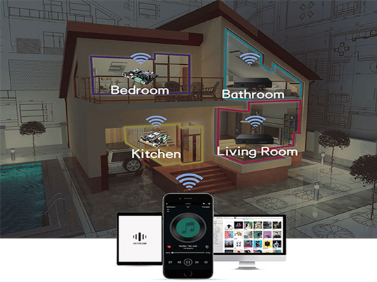DW01 WiFi Intelligent Audio Streamer for Villa