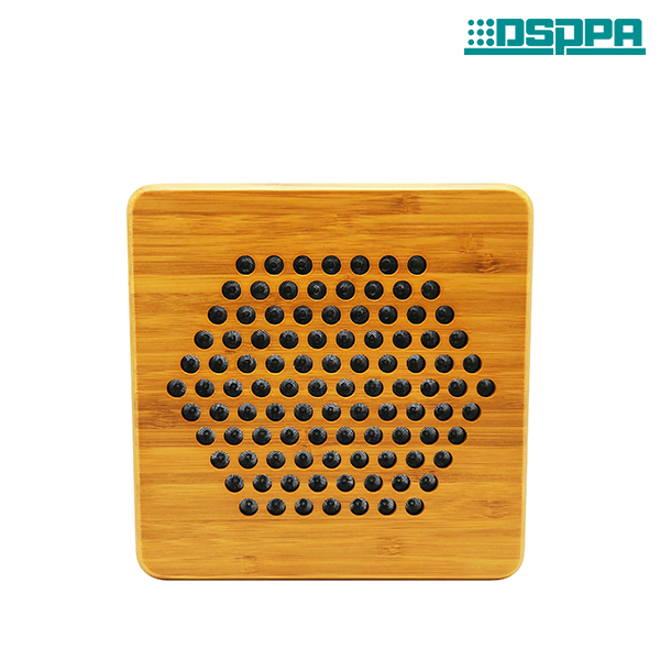 DSS1419  Active Directional Speaker System