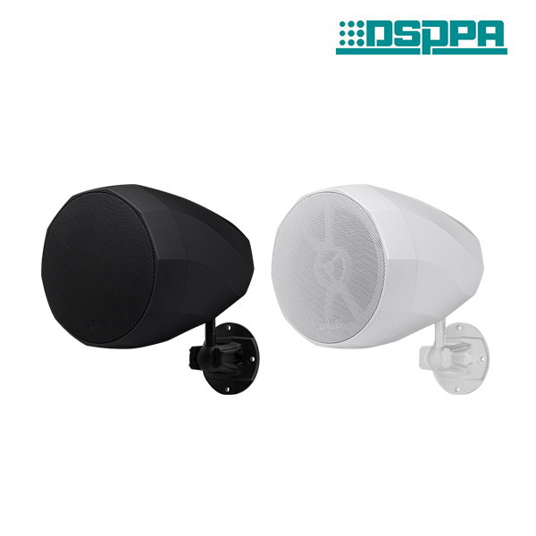 DSP5153 30W Outdoor Wall Mount Speakers