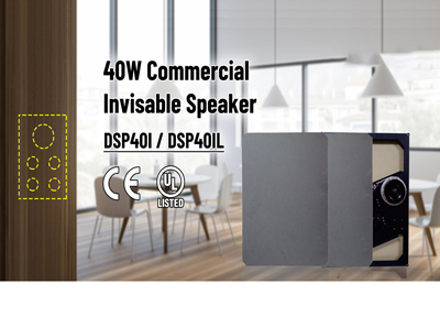 DSP401/ DSP401L 40W Commercial Invisable Speaker