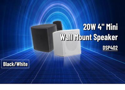 DSP402 20W 4 Inch Mini Wall Mount Speaker