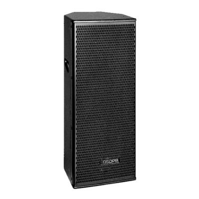 D6566A 15 Inch 800W Professional Two Way Cabinet Speaker