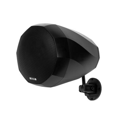 DSP5065/DSP5165/DSP52656 '' Landscape In Wall/Pendant/Ground 50W Speaker