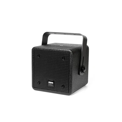 DSP3051 2-Way 5'' 100W Coaxial Wall Mount Speaker