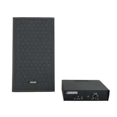 DSS1521 21W Directional Wall Mount Speaker System