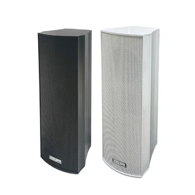 DSP6070 70W Professional Column Speaker