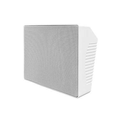 DSP4008 IP Network Wall Mounted Speaker