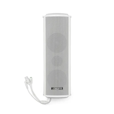 DSP6114VF Outdoor AI SNR Self-adaptive POE Column Speaker