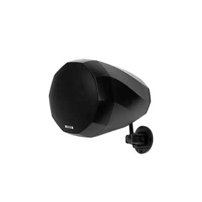 DSP5065/DSP5165/DSP52656 '' Landscape In Wall/Pendant/Ground 50W Speaker