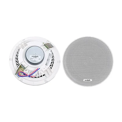 AUX521 Ceiling Speaker