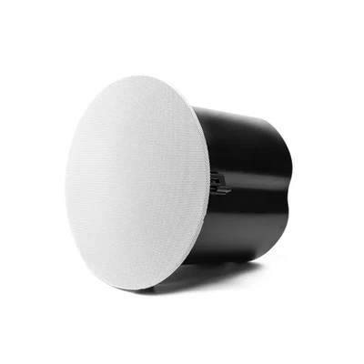 DSP7281T 8-inch Ceiling Subwoofer (100V & 8Ω)