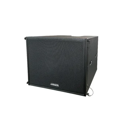 PL208S Passive Line Array Subwoofer