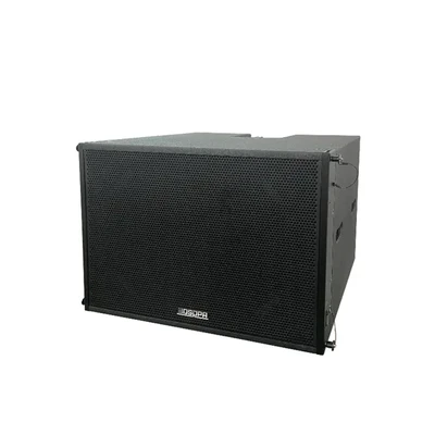 PL210S Passive Line Array Subwoofer