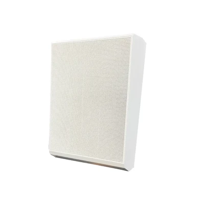 DSP115 5.5 Inch 6W Wall Mount Speaker