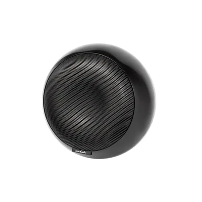 AM6502 5-Inch Full-Range Cinema Speaker