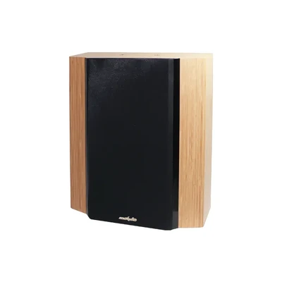 AM6606 8'' Two-Way Full-Range Home Theater Speaker