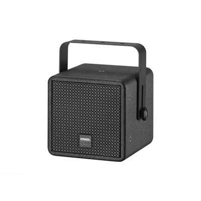DSP3051 2-Way 5'' 100W Coaxial Wall Mount Speaker