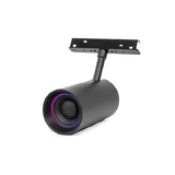 Dante gooseneck conference microphone base